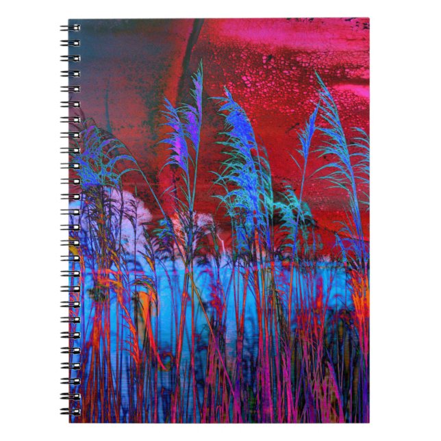 Kelly Nickels Photography / Willows & Weeds Notebook (Front)