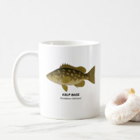 Kelp Bass – Marine Animals of California