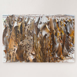 Kelp from King Island, Tasmania, Australia Jigsaw Puzzle