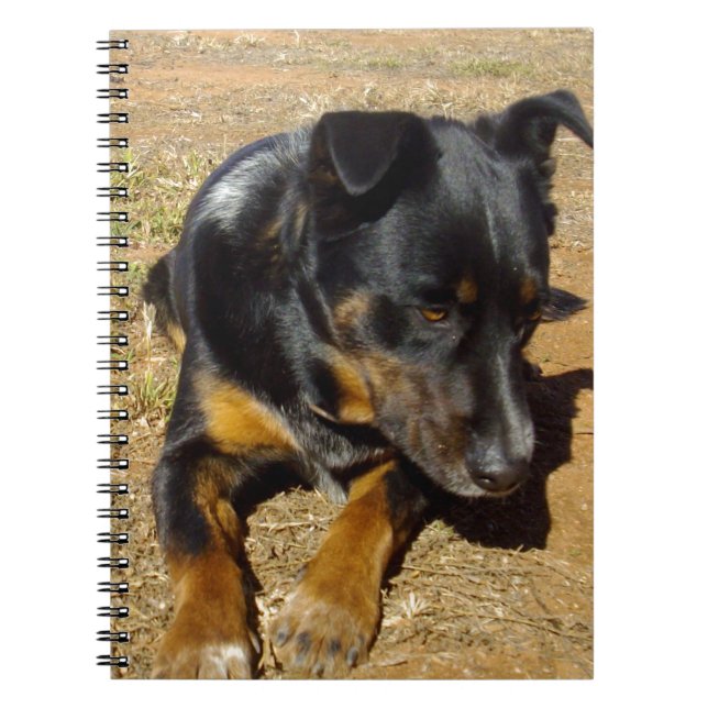 Kelpie_Farm_Life,_ Spiral Notebook (Front)