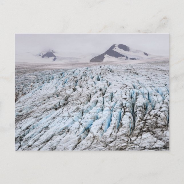 Kenai Fjords National Park Postcard (Front)