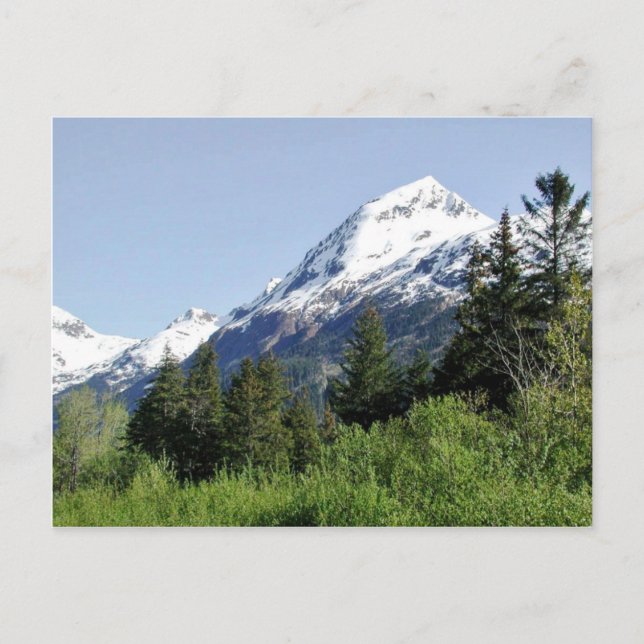 Kenai Fjords National Park Postcard (Front)