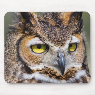 Kendall County, Texas. Great Horned Owl Mouse Pad