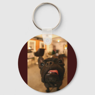 Kenken D Key Ring