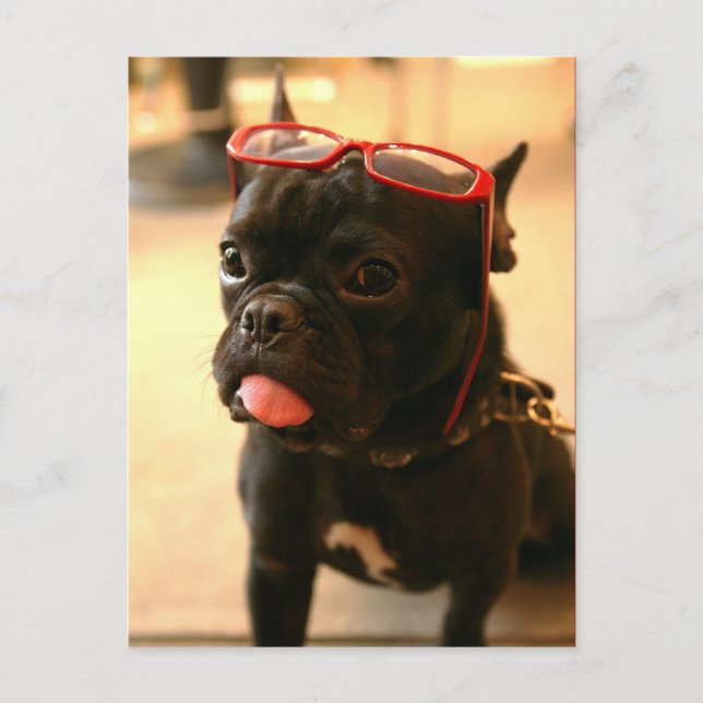 Kenken Postcards A (Front)