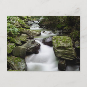 Kenny Creek Falls Postcard