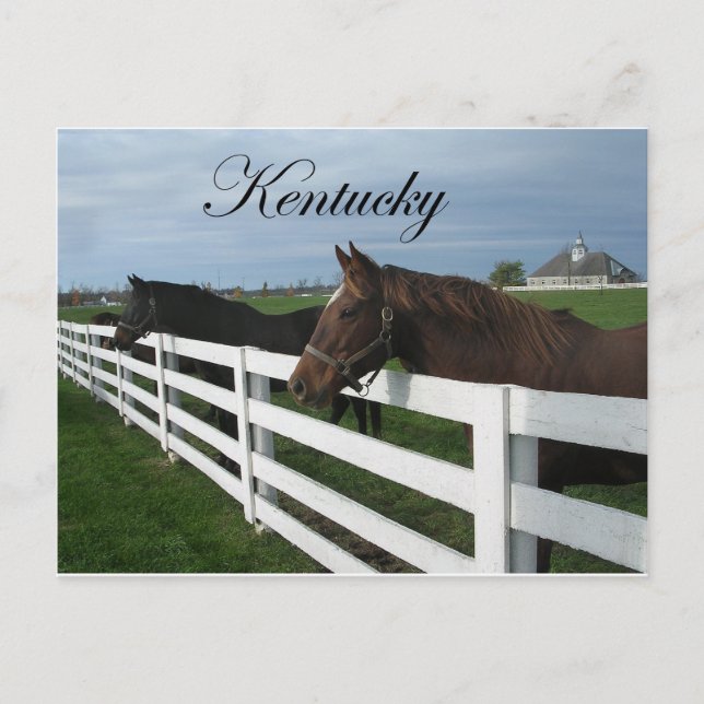 Kentucky Bluegrass Country Postcard (Front)