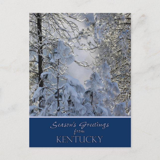 Kentucky Christmas Card /state specific post cards (Front)