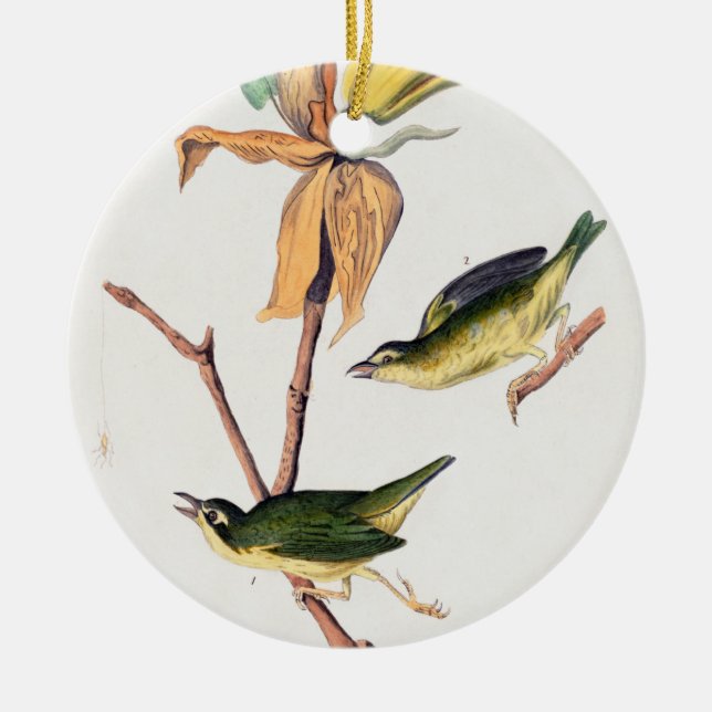 Kentucky Fly-catching Warbler Birds Illustration Ceramic Tree Decoration (Front)