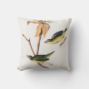 Kentucky Fly-catching Warbler Birds Illustration Cushion