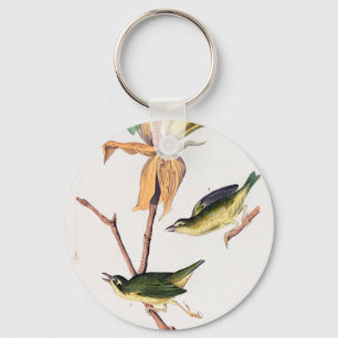 Kentucky Fly-catching Warbler Birds Illustration Key Ring