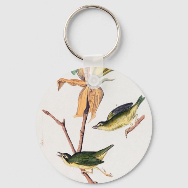 Kentucky Fly-catching Warbler Birds Illustration Key Ring (Front)