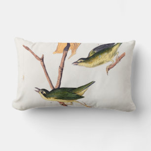 Kentucky Fly-catching Warbler Birds Illustration Lumbar Cushion