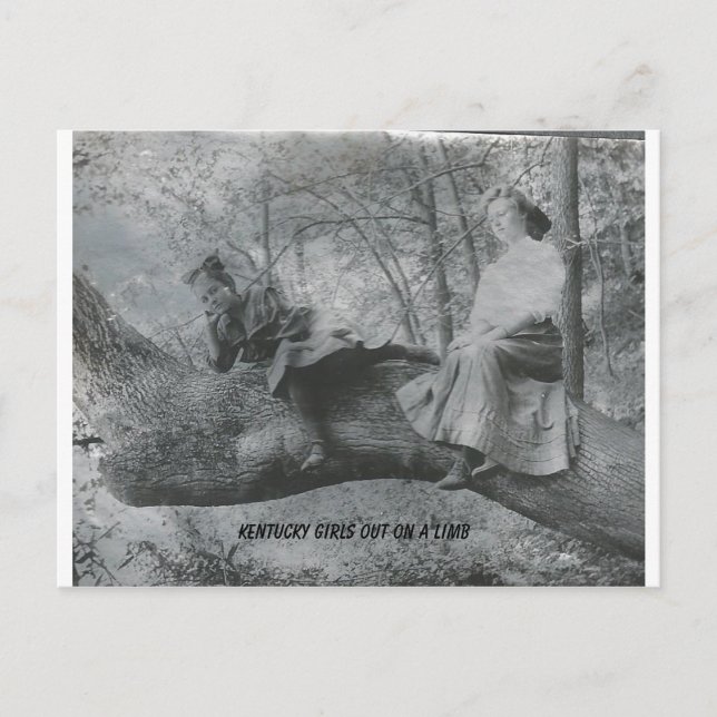 Kentucky Girls out on a Limb Postcard (Front)