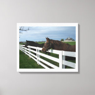 Kentucky Horse Country Canvas Print