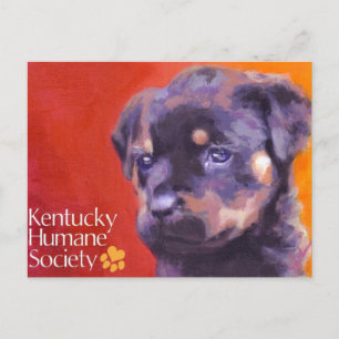 Kentucky Humane Society Postcard