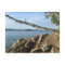Kentucky Lake Shoreline Post Card