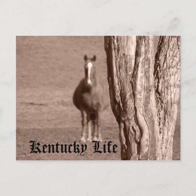Kentucky Life Postcard (Front)