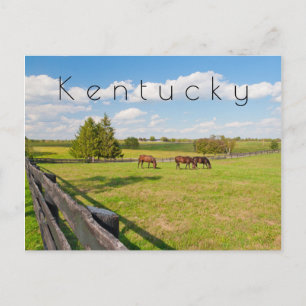 Kentucky Postcard, horses at horse farm Postcard
