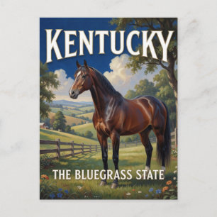 Kentucky State Pride 🐎 Horse Country Postcard