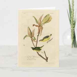 Kentucky Warbler from Audubon's Birds of America Card