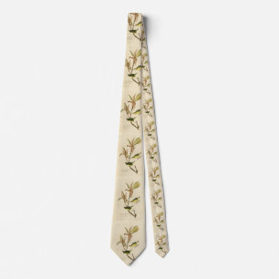 Kentucky Warbler from Audubon's Birds of America Tie