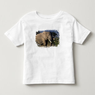 Kenya: Amboseli, male African elephant Toddler T-Shirt