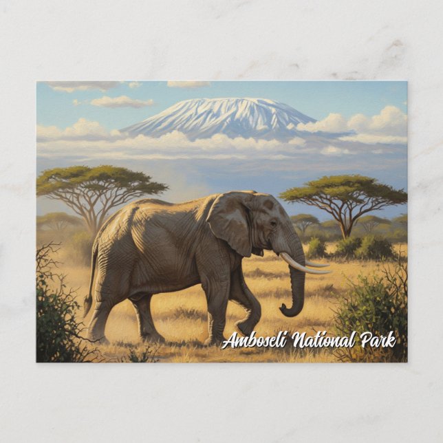 Kenya Amboseli National Park Elephant Postcard (Front)
