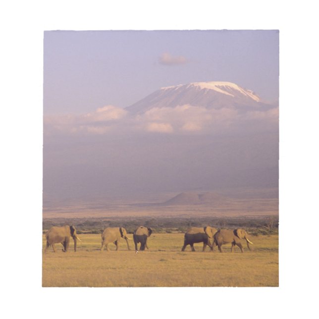 Kenya: Amboseli National Park, Elephants Notepad (Front)