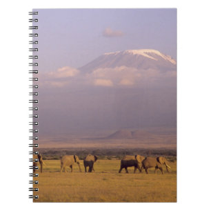 Kenya: Amboseli National Park, Elephants Spiral Notebook