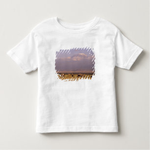 Kenya: Amboseli National Park, Elephants Toddler T-Shirt