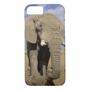 Kenya: Amboseli National Park, male elephant Case-Mate iPhone Case