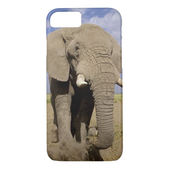 Kenya: Amboseli National Park, male elephant Case-Mate iPhone Case (Back)