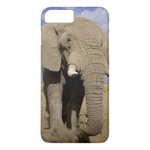 Kenya: Amboseli National Park, male elephant Case-Mate iPhone Case