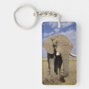 Kenya: Amboseli National Park, male elephant Key Ring