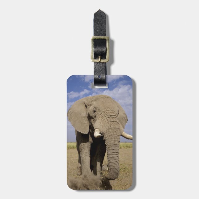 Kenya: Amboseli National Park, male elephant Luggage Tag (Front Vertical)