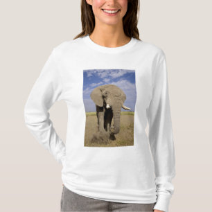 Kenya: Amboseli National Park, male elephant T-Shirt