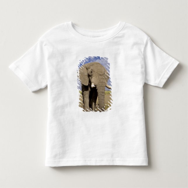 Kenya: Amboseli National Park, male elephant Toddler T-Shirt (Front)