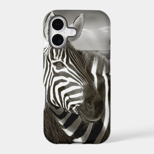 Kenya. Black & white of zebra and plain.