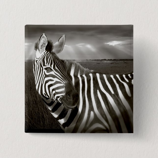 Kenya. Black & white of zebra and plain. 15 Cm Square Badge (Front)