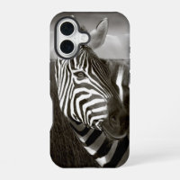 Kenya. Black & white of zebra and plain.