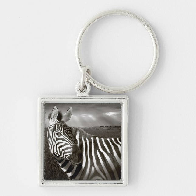 Kenya. Black & white of zebra and plain. Key Ring (Front)