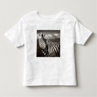 Kenya. Black & white of zebra and plain.