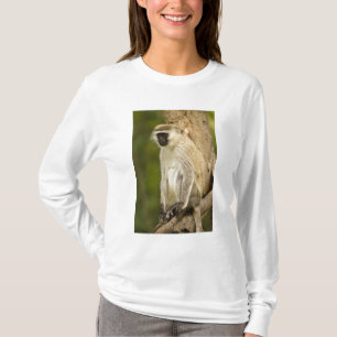 Kenya, Lake Nakuru National Park. Vervet T-Shirt