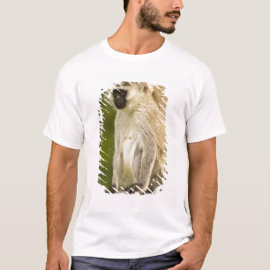 Kenya, Lake Nakuru National Park. Vervet T-Shirt