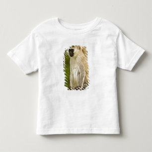 Kenya, Lake Nakuru National Park. Vervet Toddler T-Shirt