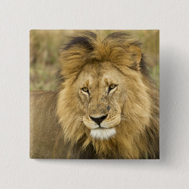 Kenya Masai Mara 15 Cm Square Badge (Front)