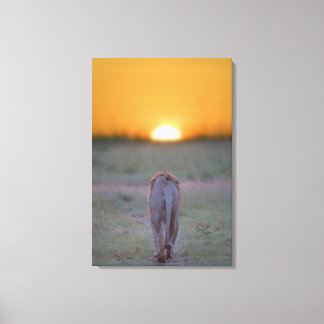 Kenya, Masai Mara 2 Canvas Print