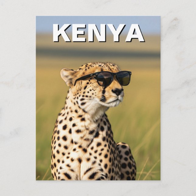 Kenya Masai Mara Cheetah with sunglasses Postcard (Front)
