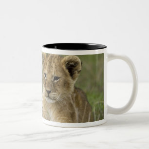 Kenya, Masai Mara Game Reserve. African Lion Two-Tone Coffee Mug